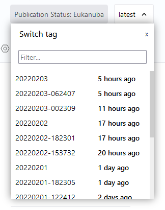 Tag selector letting you switch between dataset versions